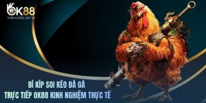 Bí Kíp Soi Kèo Đá Gà Trực Tiếp OK88