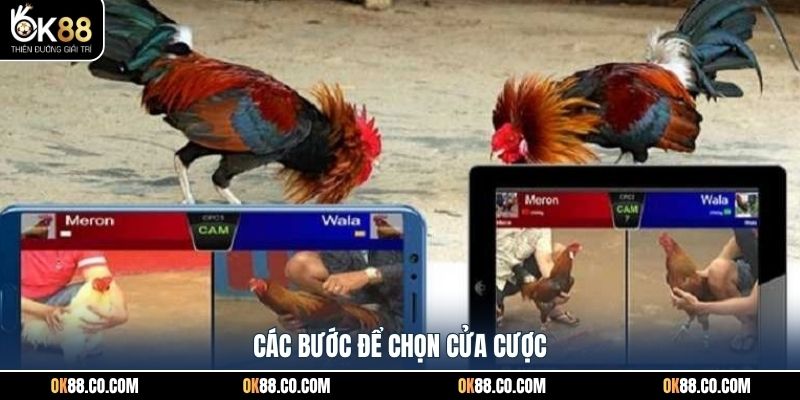 Các bước để chọn cửa cược