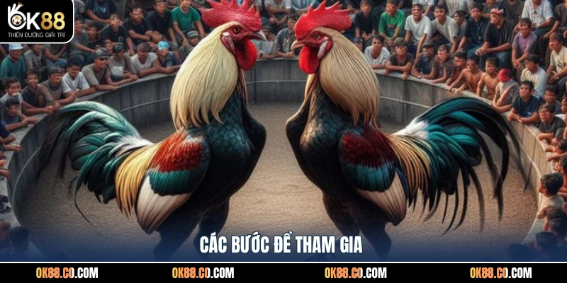 Các bước để tham gia