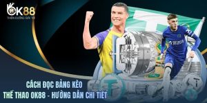 Cách Đọc Bảng Kèo Thể Thao OK88 - Hướng Dẫn Chi Tiết