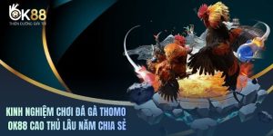 Kinh Nghiệm Chơi Đá Gà Thomo OK88