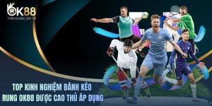 Kinh Nghiệm Đánh Kèo Rung OK88