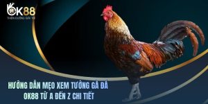 Mẹo Xem Tướng Gà Đá OK88