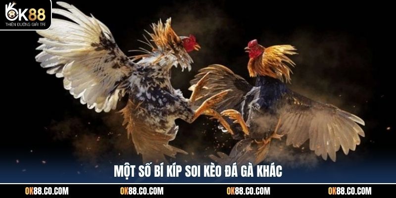 Một số bí kíp soi kèo đá gà khác