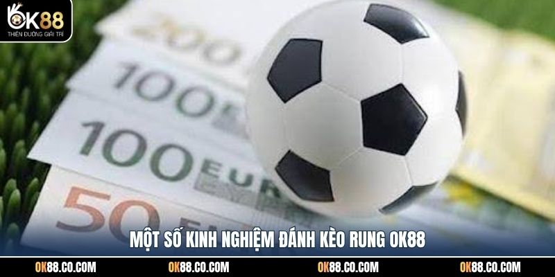 Một số kinh nghiệm đánh kèo rung OK88