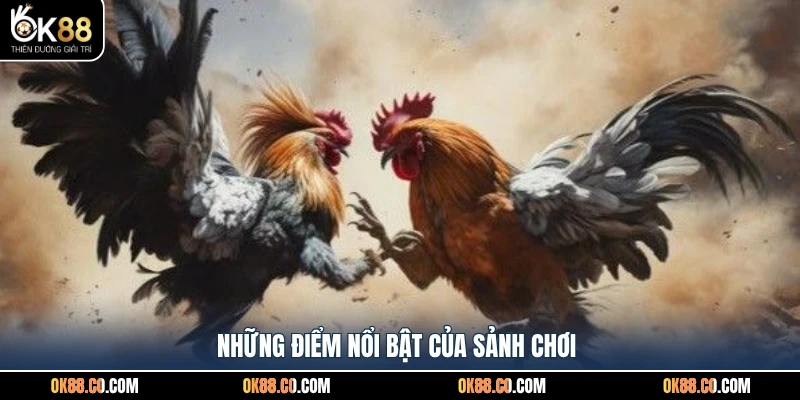 Những điểm nổi bật của sảnh chơi